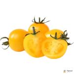 Yellow Tomato